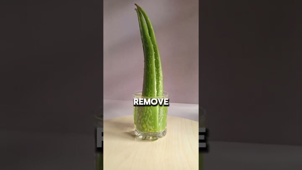 Natural Beauty & Home Remedies Videos for women