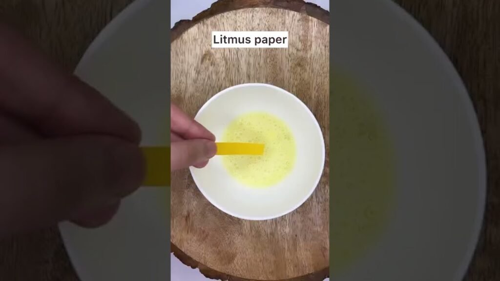 Women Product Reviews & Comparisons Videos