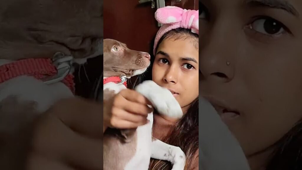 Women Product Reviews & Comparisons Videos