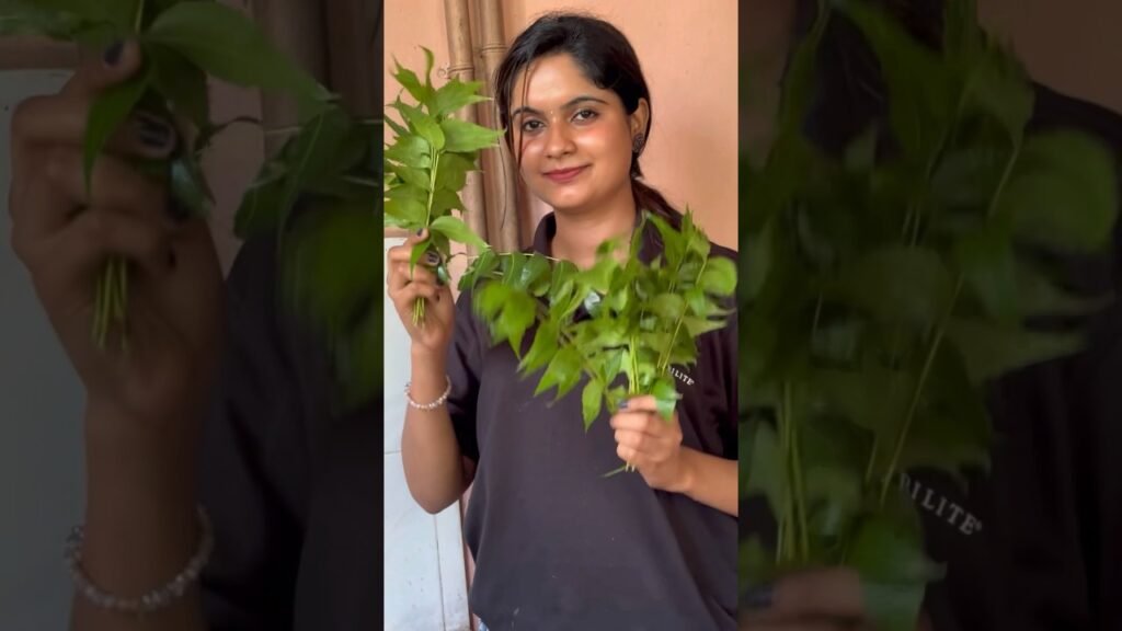 Natural Beauty & Home Remedies Videos for women