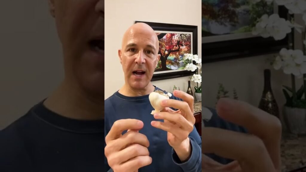 Self-Care & Lifestyle for Women Videos