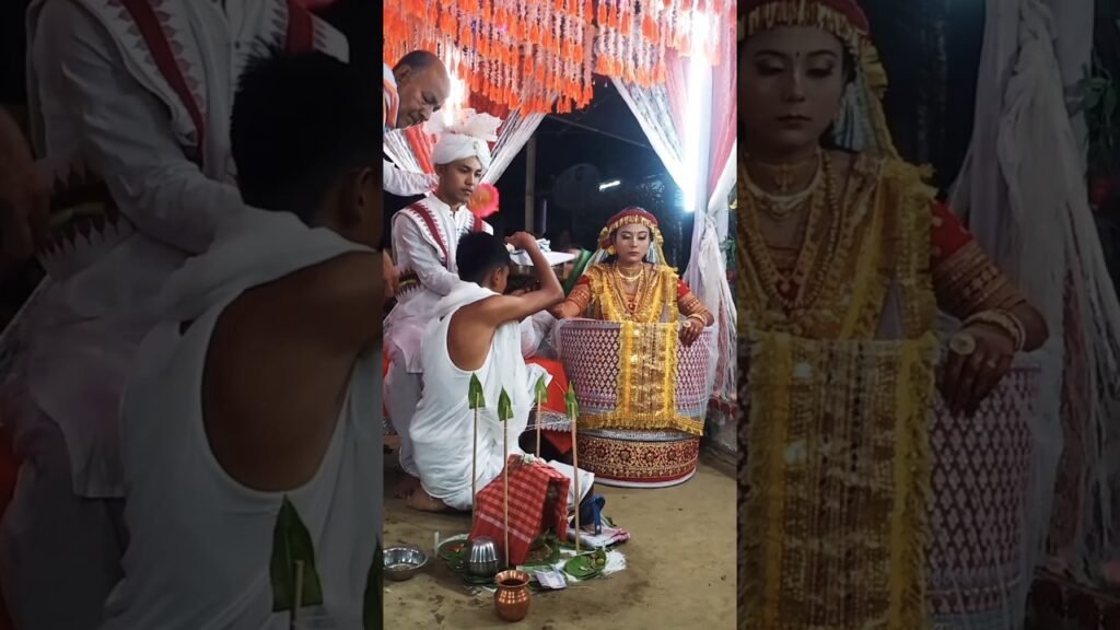 Women Wedding & Occasion Looks Videos