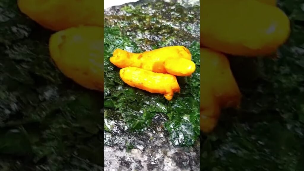 Natural Beauty & Home Remedies Videos for women